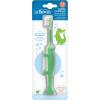 imageDr Browns Baby and Toddler Toothbrush  Crocodile BPA Free  Age 14Y1 Count Pack of 1