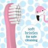 imageDr Browns Baby and Toddler Toothbrush  Crocodile BPA Free  Age 14Y1 Count Pack of 1
