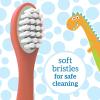 imageDr Browns Baby and Toddler Toothbrush  Crocodile BPA Free  Age 14Y2 Count Pack of 1
