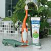 imageDr Browns Baby and Toddler Toothbrush  Crocodile BPA Free  Age 14Y2 Count Pack of 1