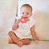 imageDr Browns Flexees Friends Silicone Teether Purple OctopusFox  Orange