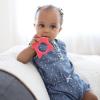 imageDr Browns Flexees Friends Silicone Teether Purple OctopusFox  Orange