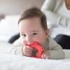 imageDr Browns Flexees Friends Silicone Teether Purple OctopusFox  Orange