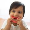 imageDr Browns Flexees Friends Silicone Teether Purple OctopusFox  Orange