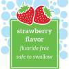 imageDr Browns FluorideFree Baby Toothpaste Safe to Swallow Apple Pear 1Pack 14oz40g 03 yearsStrawberry