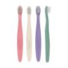 imageDr Browns InfanttoToddler Toothbrush Set Soft ampamp Gentle Manual Toothbrushes for Baby GreenDark BlueEcruBlue BPA Free 03 Years  4Pack4Pack  PinkEcruPurpleDark Green