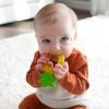 imageDr Browns Learning Loop Baby Teether Ring Multiple Shapes and Textures 100 Silicone BPAFree 3mAquaCool Fruits