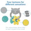 imageDr Browns Learning Loop Baby Teether Ring Multiple Shapes and Textures 100 Silicone BPAFree 3mFox Learning Loops