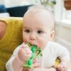 imageDr Browns Peapod Teether  Training Toothbrush Help Soothe Babys Sore Gums Soft 100 Silicone BPA Free 3mPeapod ToothbrushTeether