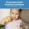 imageDr Browns ToothScrubber Toothbrush ThreeSided Toddler Training Toothbrush for Ages 14 Years with Suction Cup Base and Color Changing Bristles1 Pack  Green Monster