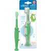 imageDr Browns Baby and Toddler Toothbrush  Crocodile BPA Free  Age 14Y1 Count Pack of 1