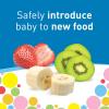 imageDr Browns Designed to Nourish Fresh Firsts Silicone Feeder Grey One Size1 Pack  Gray
