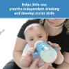 imageDr Browns WideNeck Baby Bottle Handles 100 Silicone Easy Grip Removable Handles for Bottle to Sippy Cup Transition Green 4mGray
