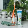 imageDr Browns CleanUp Float ampamp Hatch Dino Eggs MultiUse Interactive Bath and Pool Toy for Toddlers 6m BPA Free Packaging May VaryDino Hatch Eggs  Dino Bath Spout Cover  and Orange and Green Dino Toothbrushes