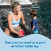 imageDr Browns CleanUp Float ampamp Hatch Dino Eggs MultiUse Interactive Bath and Pool Toy for Toddlers 6m BPA Free Packaging May VaryDino Hatch Eggs