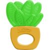 imageDr Browns AquaCool WaterFilled Teether Cooling Teether Toy for Babies Soothes Sore Gums Avocado Toast Shapes BPA Free 3m 2PackHouse Plants  2Pack
