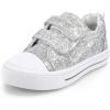 Sliver Glitter
