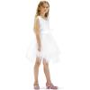 imageK KomForme Girls Dress Shoes Mary Jane Glitter 15 in Low Heel Wedding Party Princess Shoes for ToddlerLittleBig KidsPink