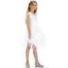 imageK KomForme Girls Dress Shoes Mary Jane Glitter 15 in Low Heel Wedding Party Princess Shoes for ToddlerLittleBig KidsSilver