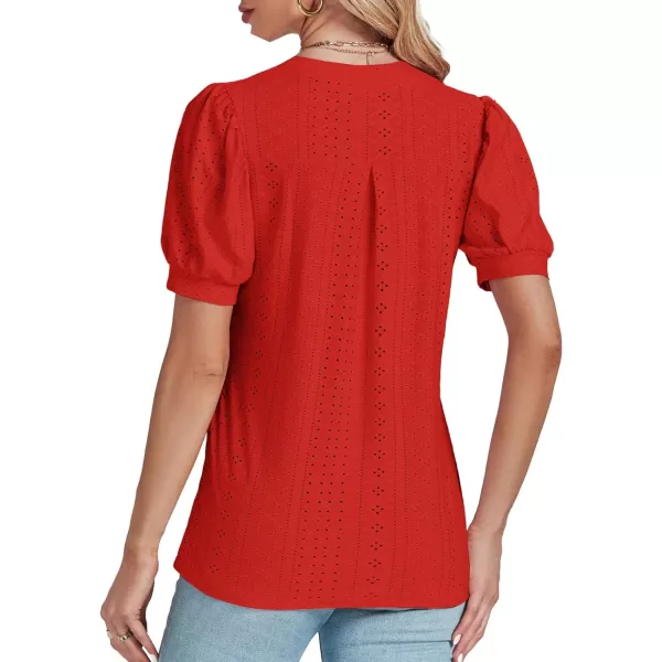 LYANER Women's Casual Eyelet V Neck Puff Short Sleeve Shirt Blouse Tunic Top