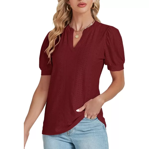 LYANER Women's Casual Eyelet V Neck Puff Short Sleeve Shirt Blouse Tunic Top