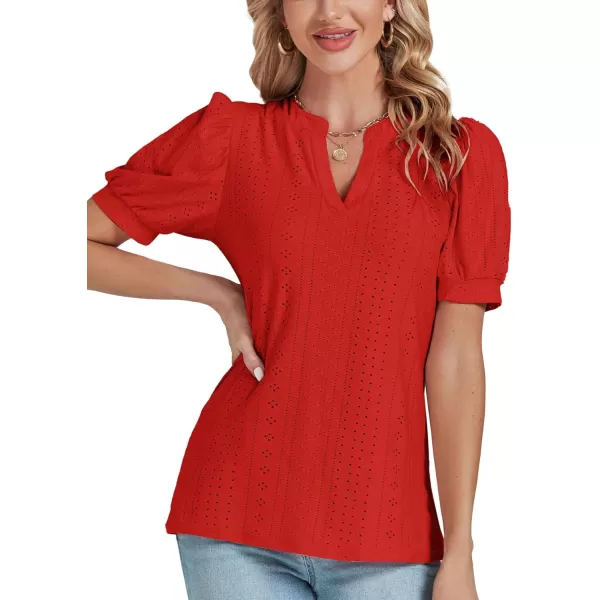 LYANER Women's Casual Eyelet V Neck Puff Short Sleeve Shirt Blouse Tunic Top