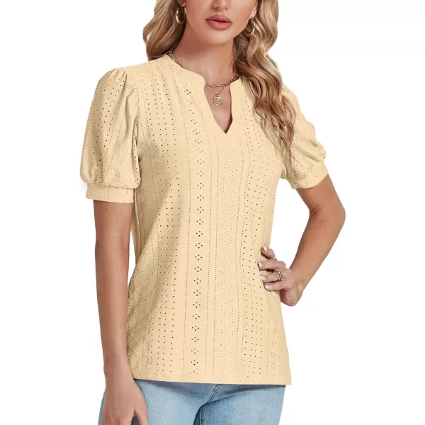 LYANER Women's Casual Eyelet V Neck Puff Short Sleeve Shirt Blouse Tunic Top