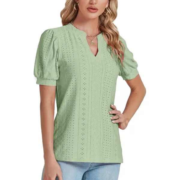 LYANER Women's Casual Eyelet V Neck Puff Short Sleeve Shirt Blouse Tunic Top