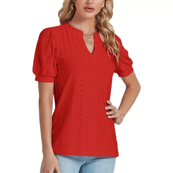 LYANER Women's Casual Eyelet V Neck Puff Short Sleeve Shirt Blouse Tunic Top