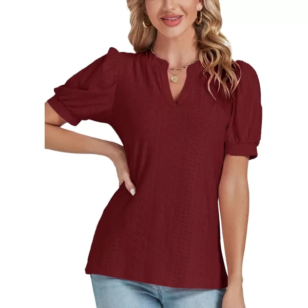 LYANER Women's Casual Eyelet V Neck Puff Short Sleeve Shirt Blouse Tunic Top