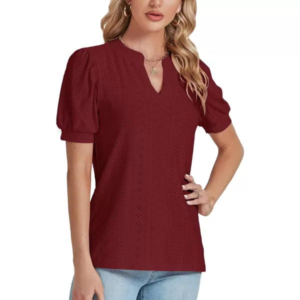 LYANER Women's Casual Eyelet V Neck Puff Short Sleeve Shirt Blouse Tunic Top