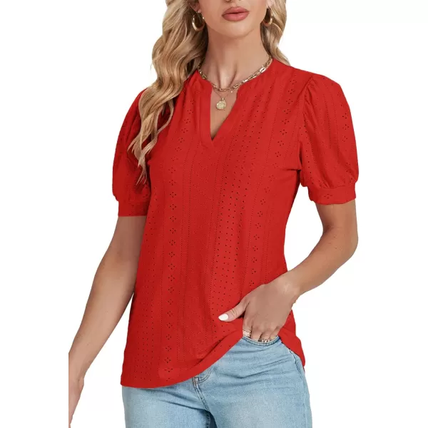 LYANER Women's Casual Eyelet V Neck Puff Short Sleeve Shirt Blouse Tunic Top