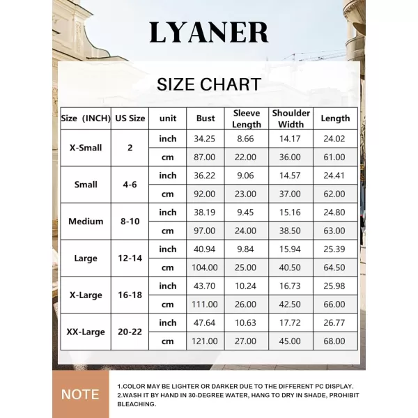 LYANER Women's Casual Puff Short Sleeve Lace Trim Eyelet V Neck Shirt Blouse Tunic Top