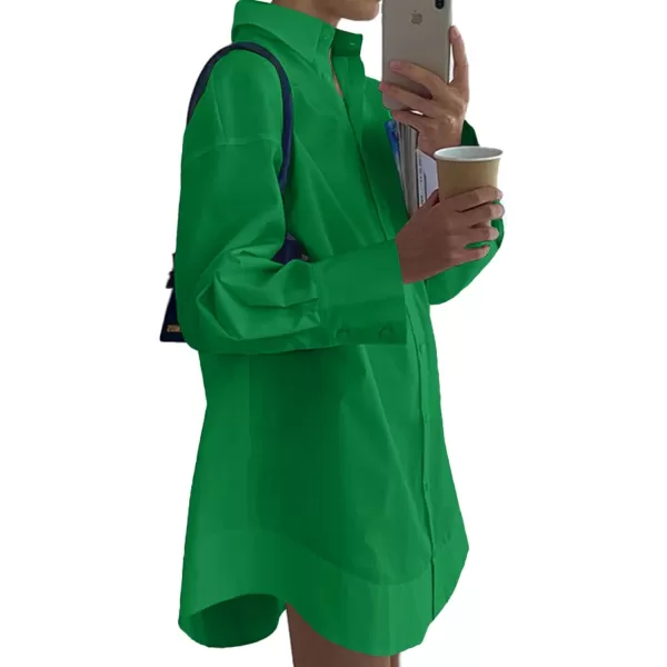 LYANER Women's Casual Shirt Dress Collar V Neck Button Down Loose Long Sleeve Mini Dresses