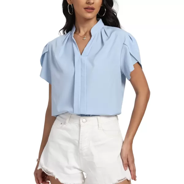 LYANER Women's Casual Split V Neck Petal Cap Sleeve Chiffon Blouse Shirt Tops