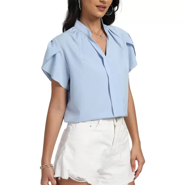 LYANER Women's Casual Split V Neck Petal Cap Sleeve Chiffon Blouse Shirt Tops