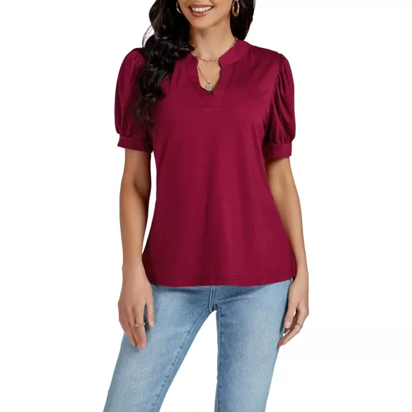 LYANER Women's Casual V Neck Puff Short Sleeve Shirt Blouses Tunic Top