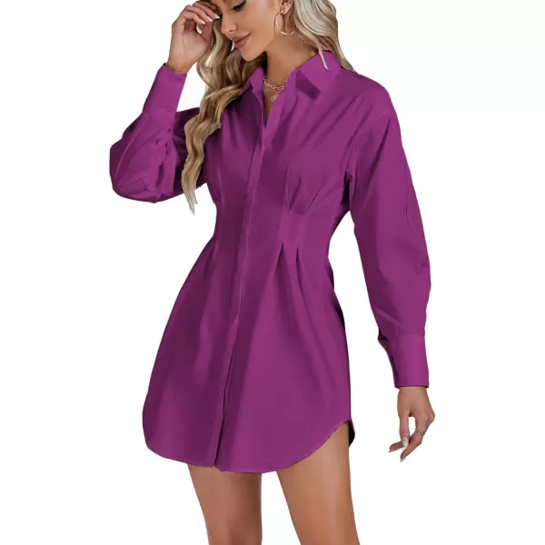 LYANER Women's Collar Buttons Down Pleated Long Sleeve Flared Mini Shirt Dress