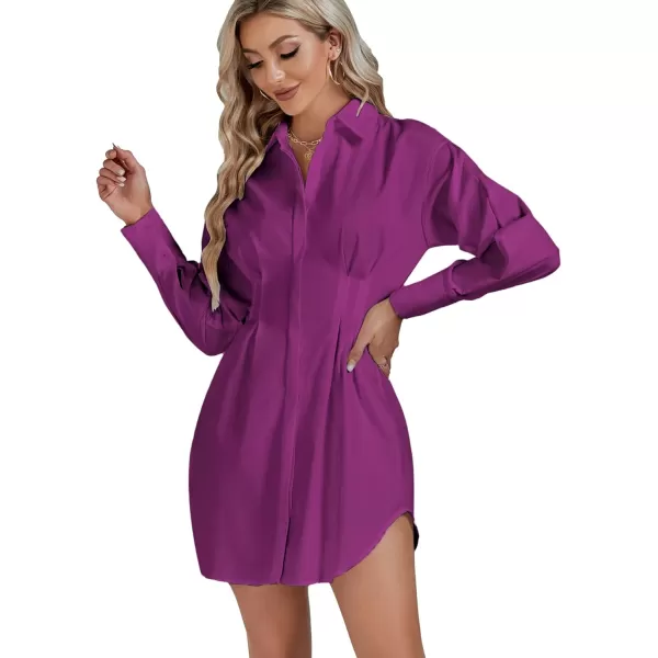 LYANER Women's Collar Buttons Down Pleated Long Sleeve Flared Mini Shirt Dress