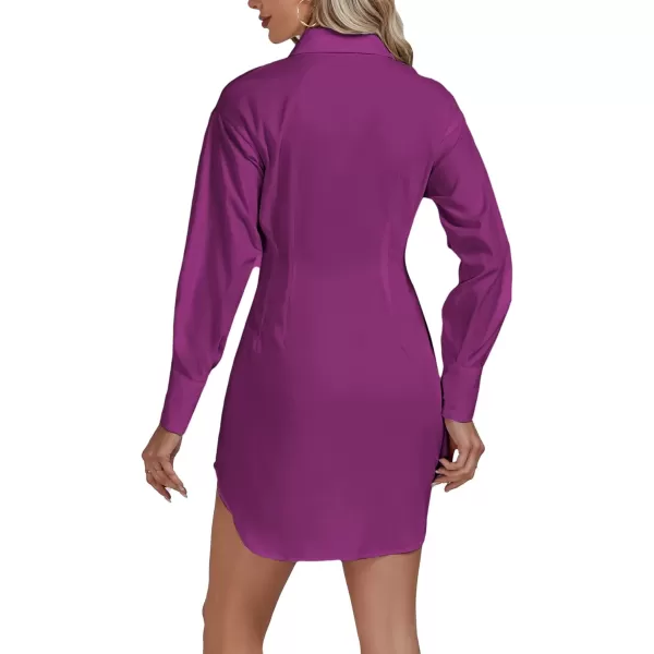 LYANER Women's Collar Buttons Down Pleated Long Sleeve Flared Mini Shirt Dress