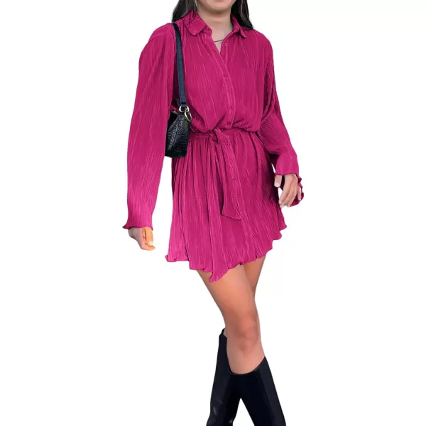 LYANER Women's Collar V Neck Button Down Pleated Long Sleeve Mini Shirt Dress with Belt