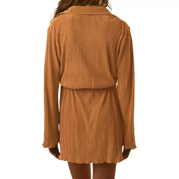 LYANER Women's Collar V Neck Button Down Pleated Long Sleeve Mini Shirt Dress with Belt