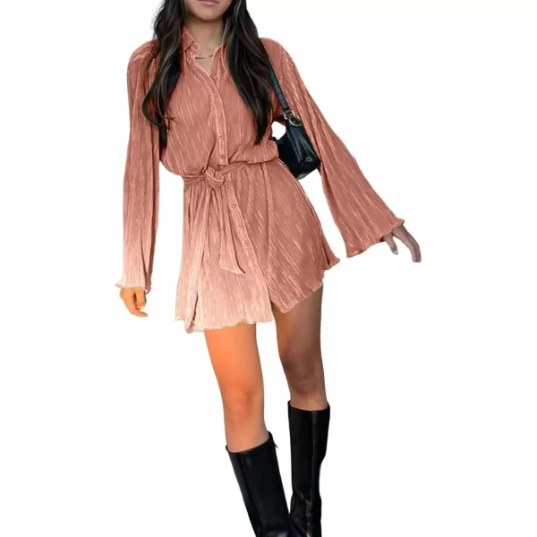 LYANER Women's Collar V Neck Button Down Pleated Long Sleeve Mini Shirt Dress with Belt