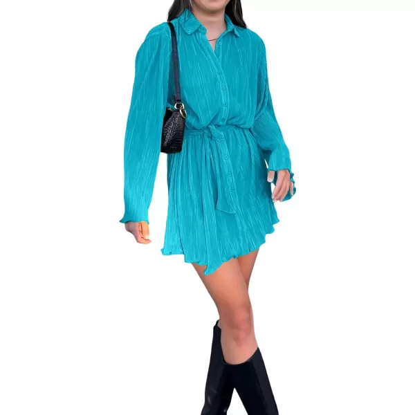 LYANER Women's Collar V Neck Button Down Pleated Long Sleeve Mini Shirt Dress with Belt