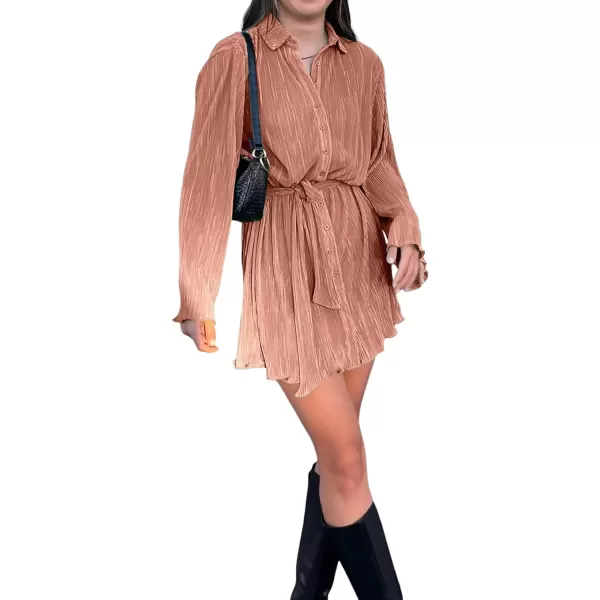 LYANER Women's Collar V Neck Button Down Pleated Long Sleeve Mini Shirt Dress with Belt