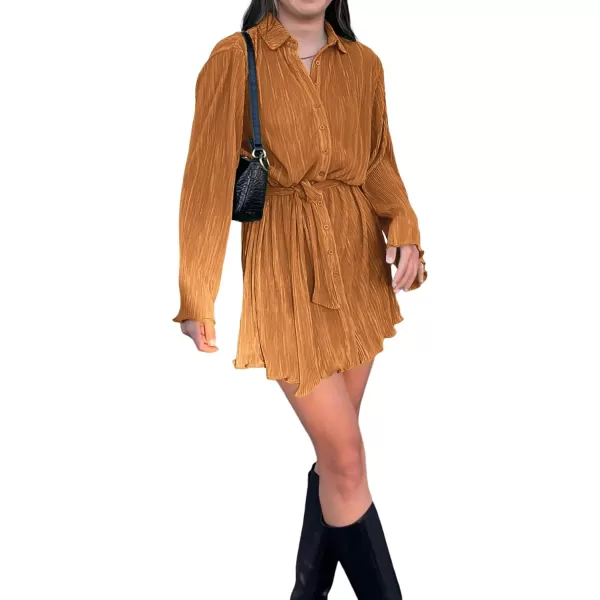 LYANER Women's Collar V Neck Button Down Pleated Long Sleeve Mini Shirt Dress with Belt