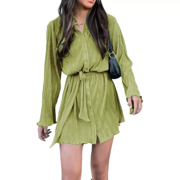 LYANER Women's Collar V Neck Button Down Pleated Long Sleeve Mini Shirt Dress with Belt