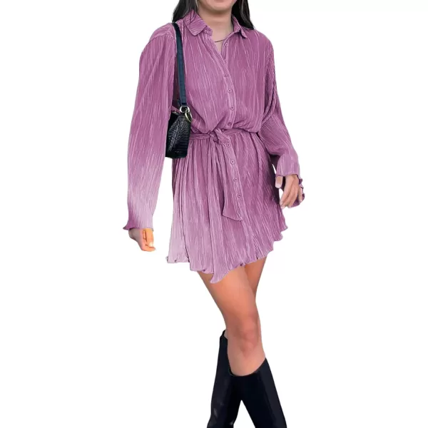LYANER Women's Collar V Neck Button Down Pleated Long Sleeve Mini Shirt Dress with Belt