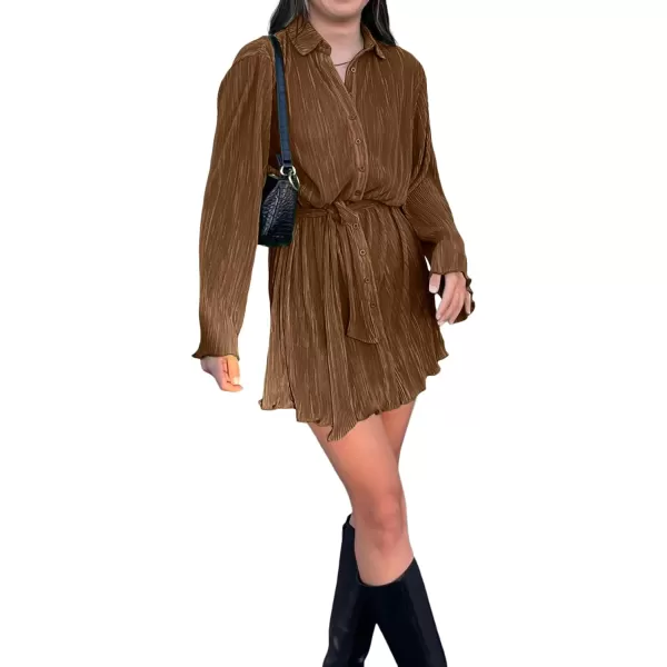 LYANER Women's Collar V Neck Button Down Pleated Long Sleeve Mini Shirt Dress with Belt
