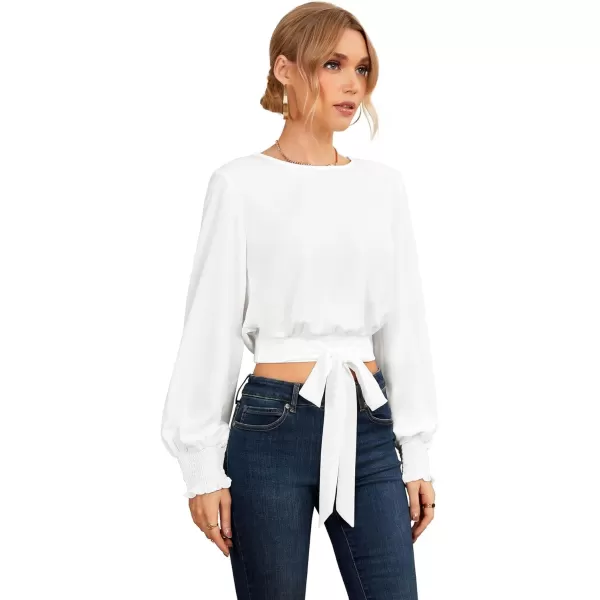 LYANER Women's Crewneck Tie Front Long Puff Sleeve Office Chiffon Crop Top Blouse Shirts